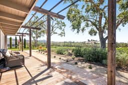 Chardonnay View