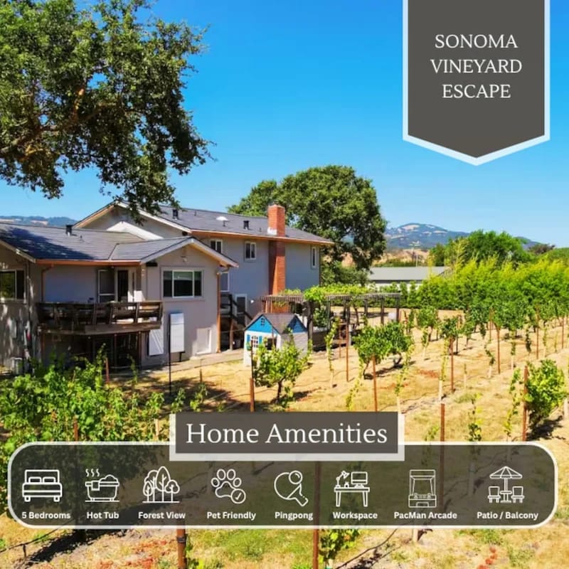 Sonoma Vineyard Escape